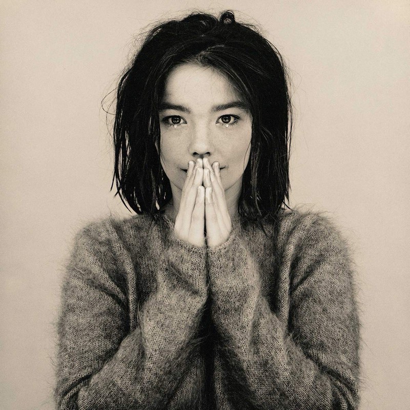 Björk — Debut vinilo
