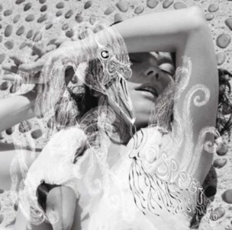 Björk — Vespertine vinilo