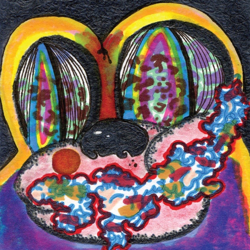 Cage the Elephant — Thank You Happy Birthday vinilo