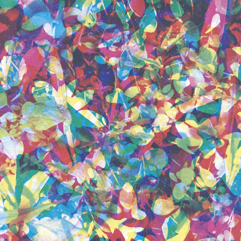 Caribou — Our Love vinilo