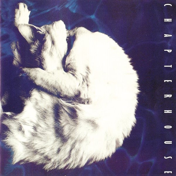 Chapterhouse — Whirlpool vinilo