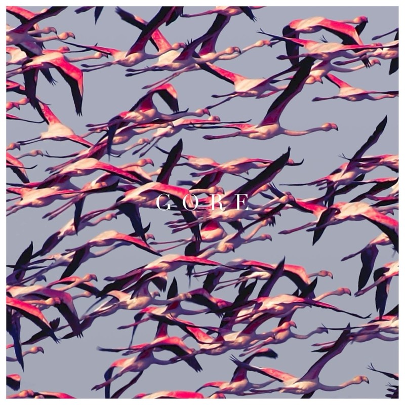 Deftones — Gore vinilo