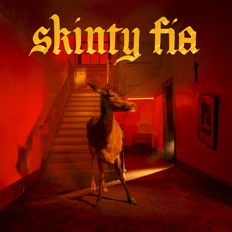 Fontaines D.C. — Skinty Fia vinilo