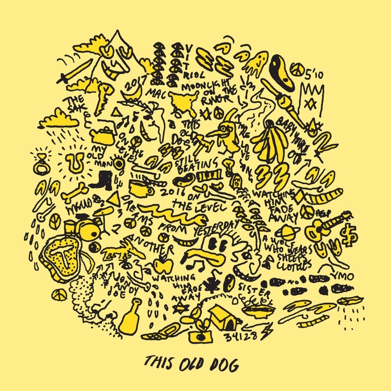 Mac DeMarco — This Old Dog vinilo