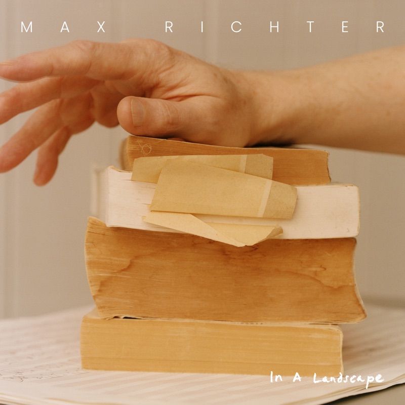 Max Richter — In a Landscape vinilo
