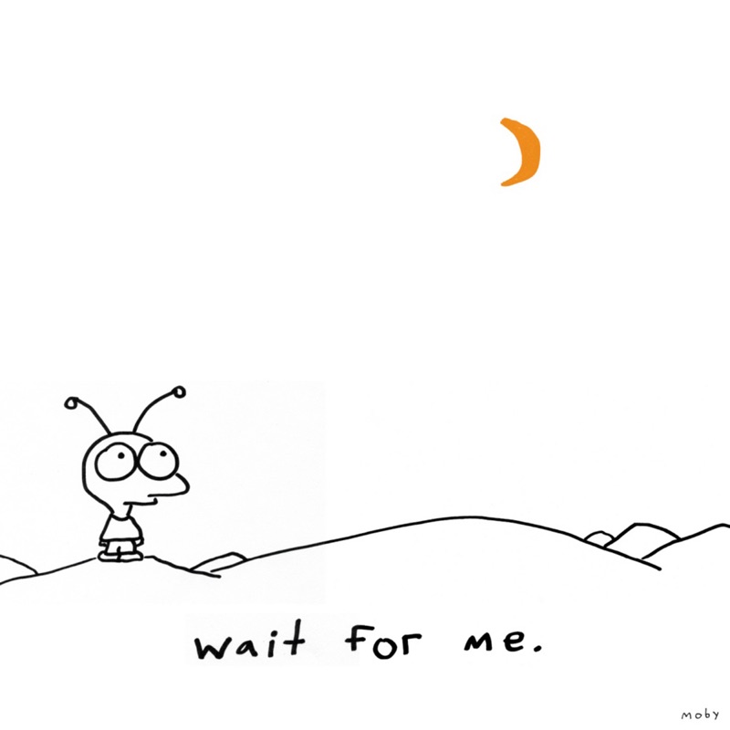 Moby — Wait for Me vinilo