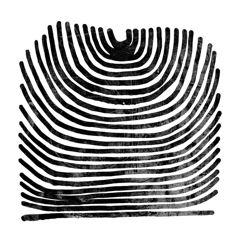 Rival Consoles — Howl vinilo