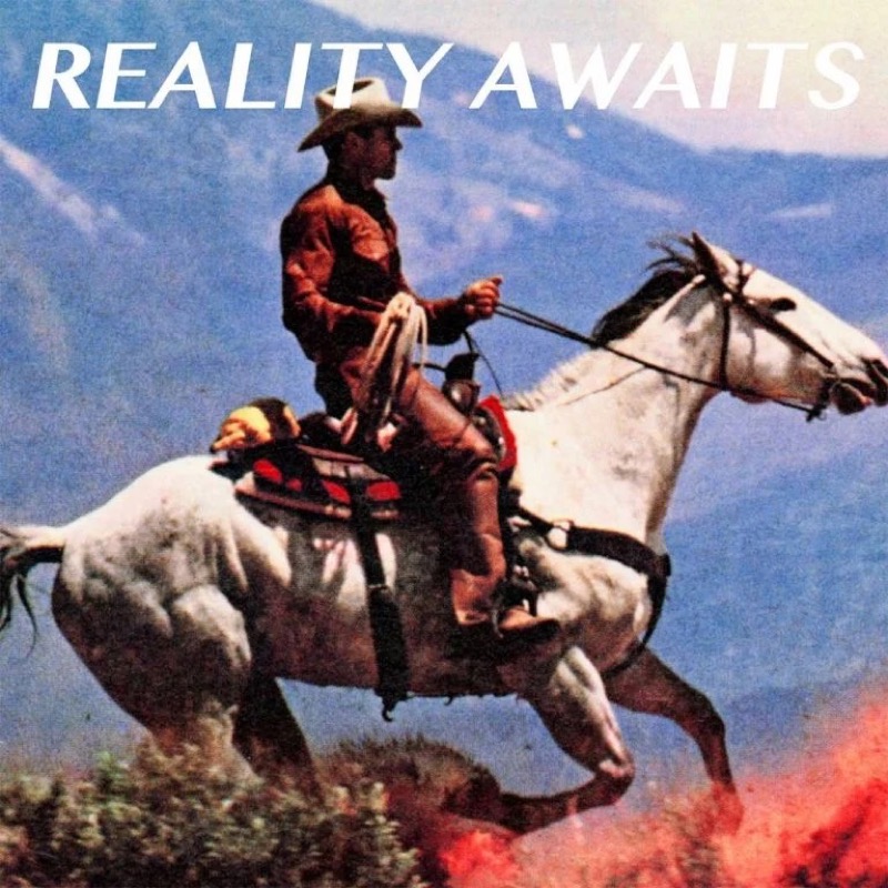 The Strokes — Reality Awaits vinilo